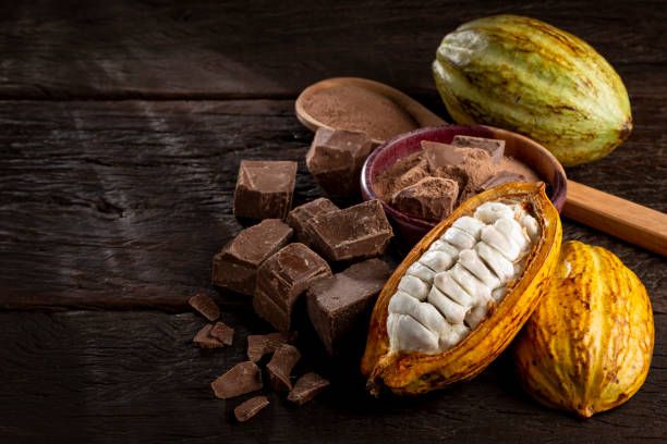 Botanical Chocolate Farm Tour (Adult) for One