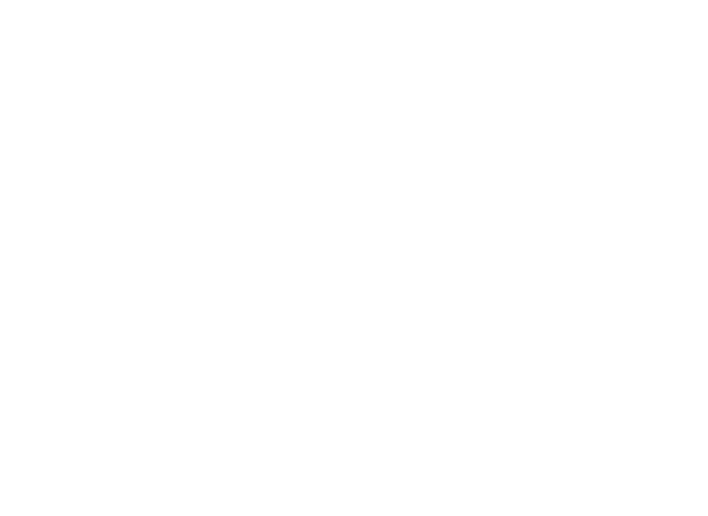 Hotel Ziggy