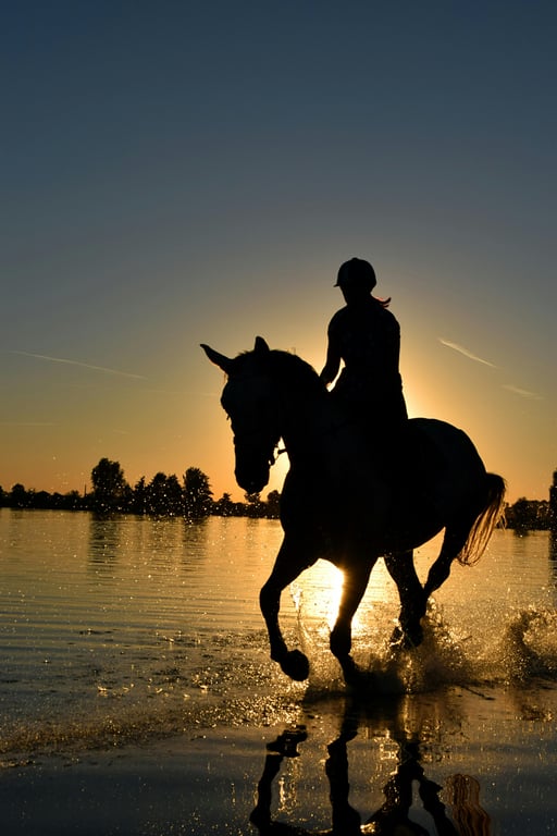 Horseback Riding