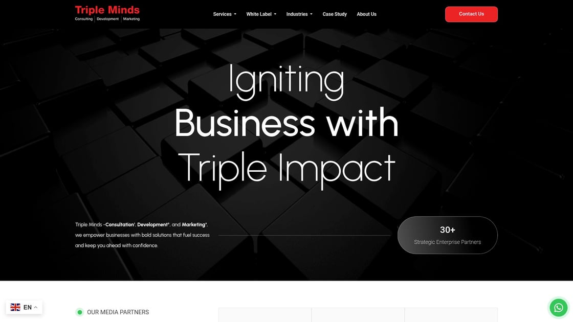 Triple Minds white label platform