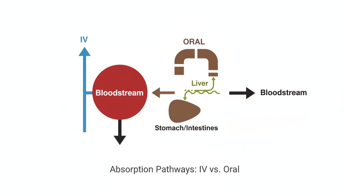 Diagram showing IV versus oral absorption pathway