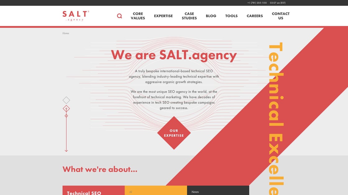 SALT.agency