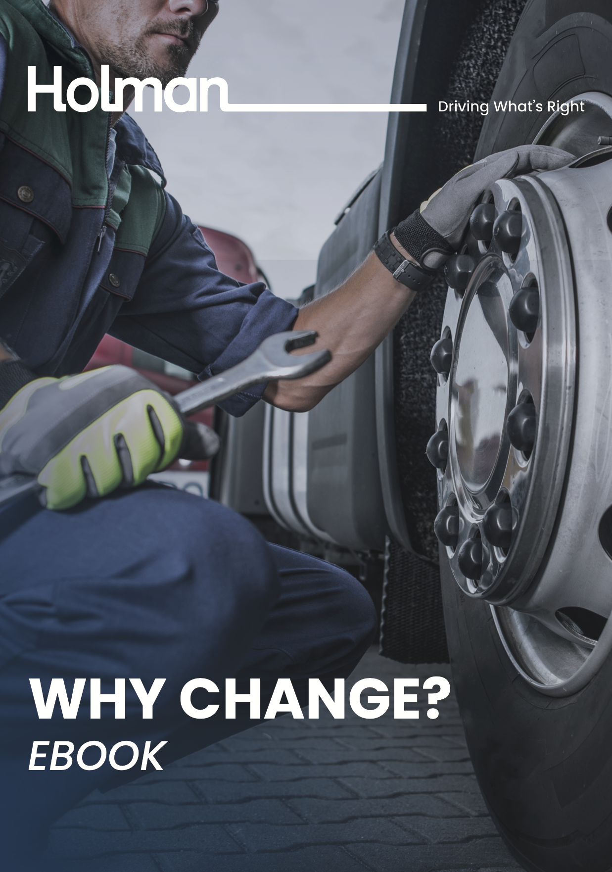 Why Change? Holman eBook