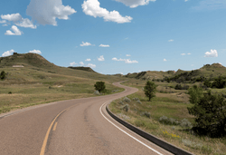 a road going through a grassy field