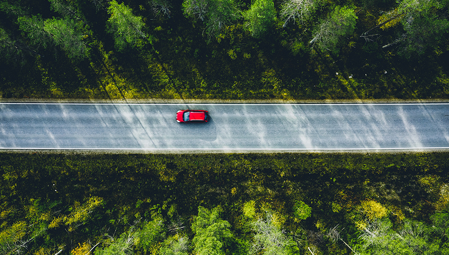 a car on a road with trees