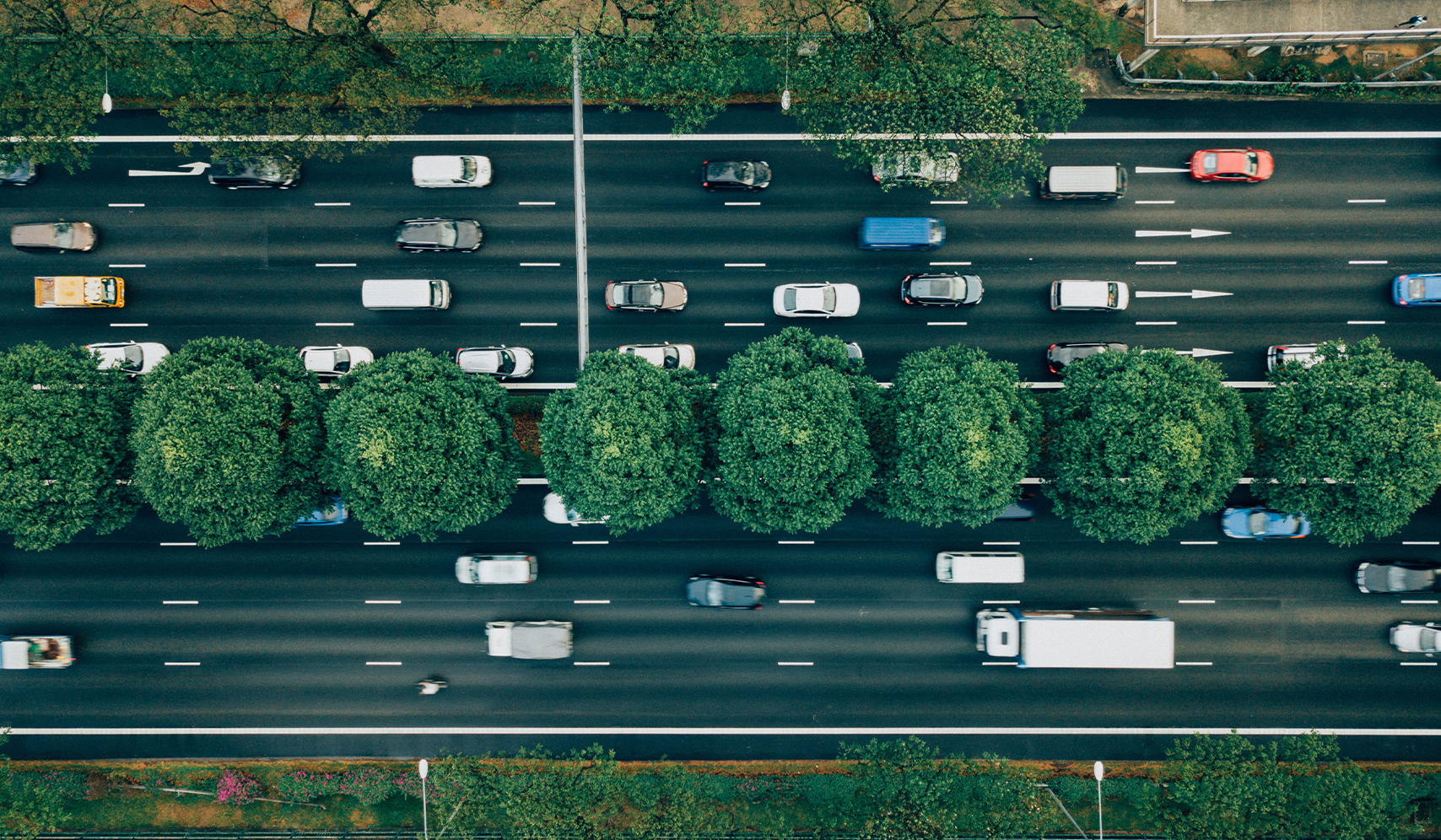 aerial view of a road with trees and cars