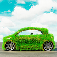 A car made up of grass