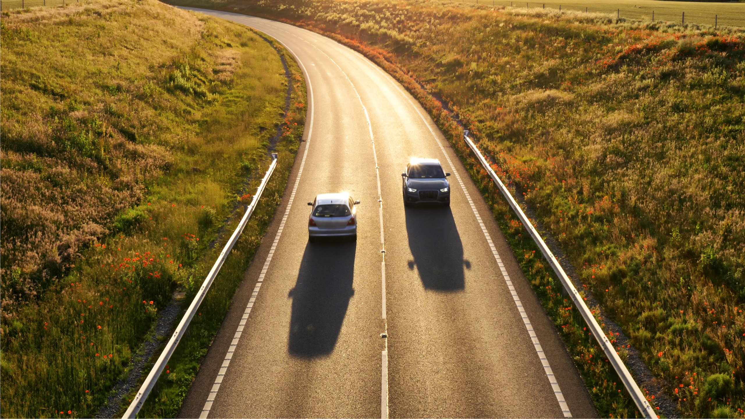 two cars on a road