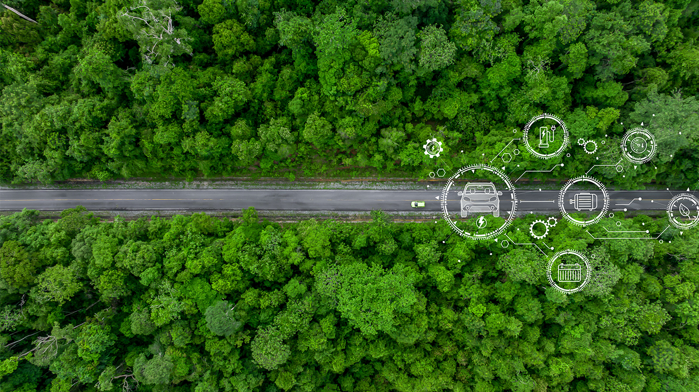 a road surrounded by trees