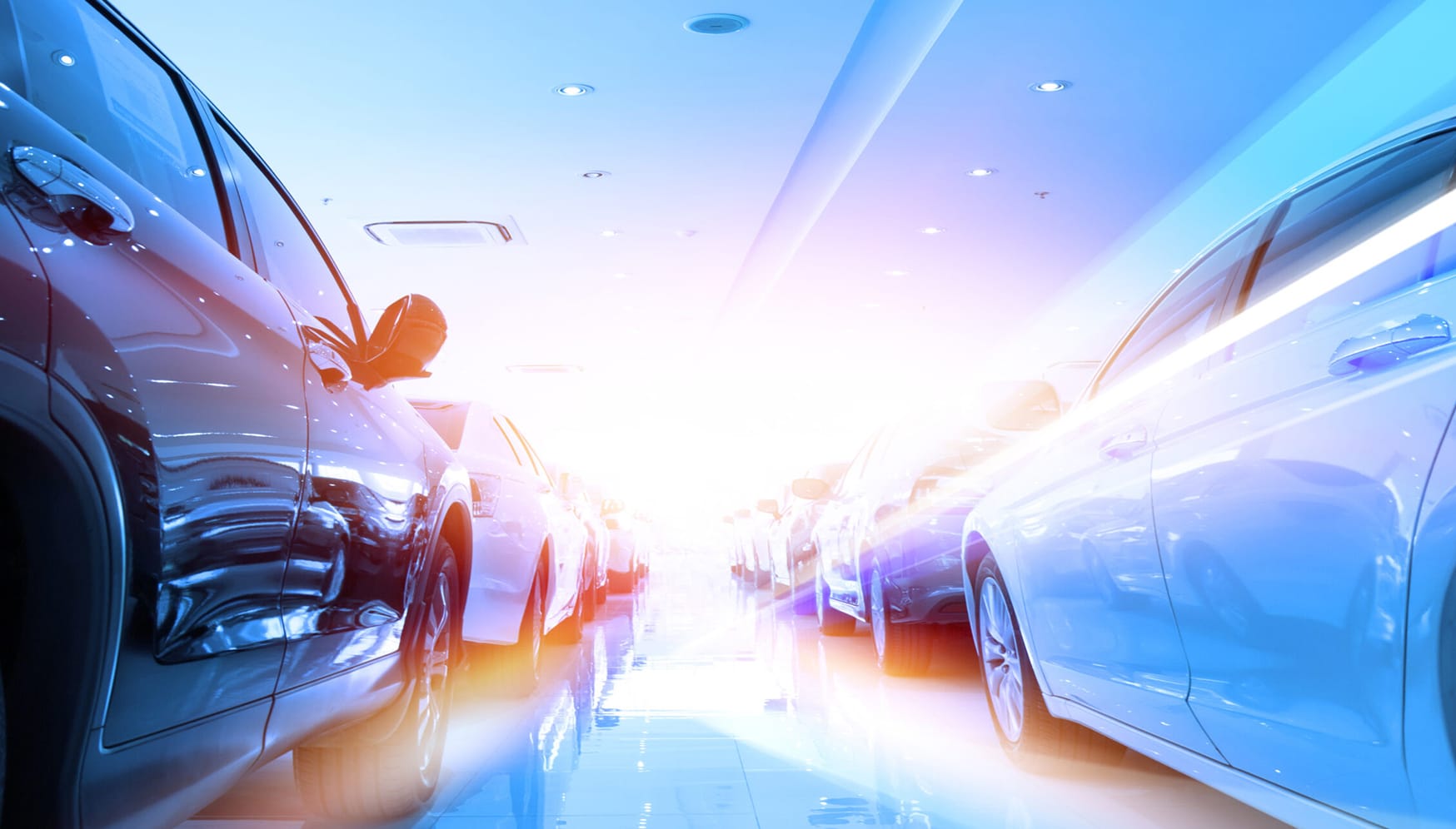 a row of cars in a showroom