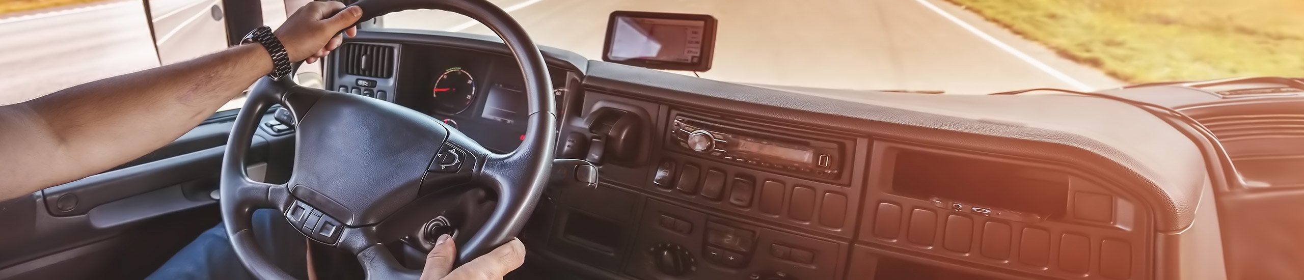a hand holding a steering wheel