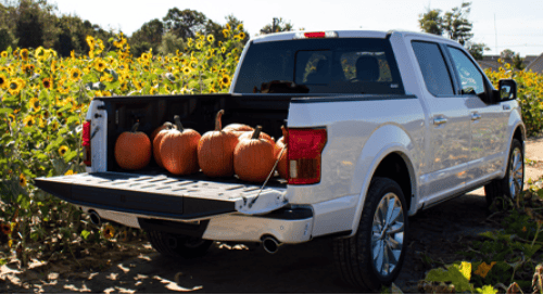 Experience the Great Outdoors with the Powerful Ford F-150