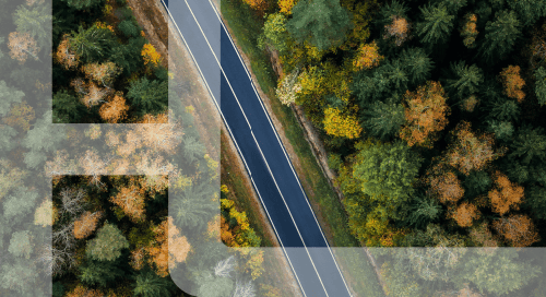 a road with trees around it