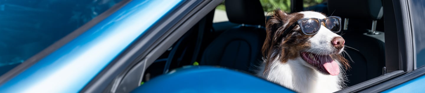 a close up of a car door