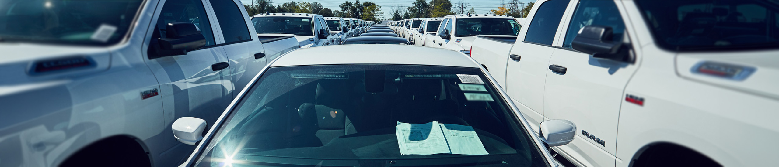 a row of cars lined up in a parking lot
