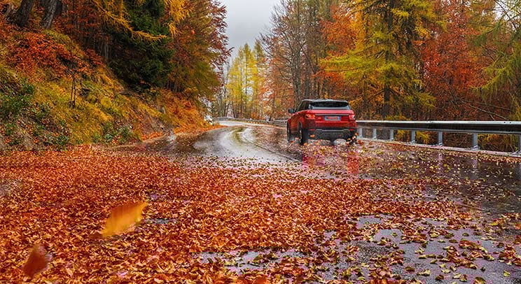 a car driving on a wet road with leaves on the ground