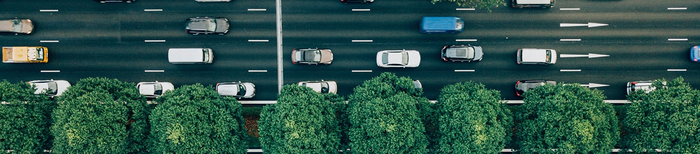 cars on a road with trees