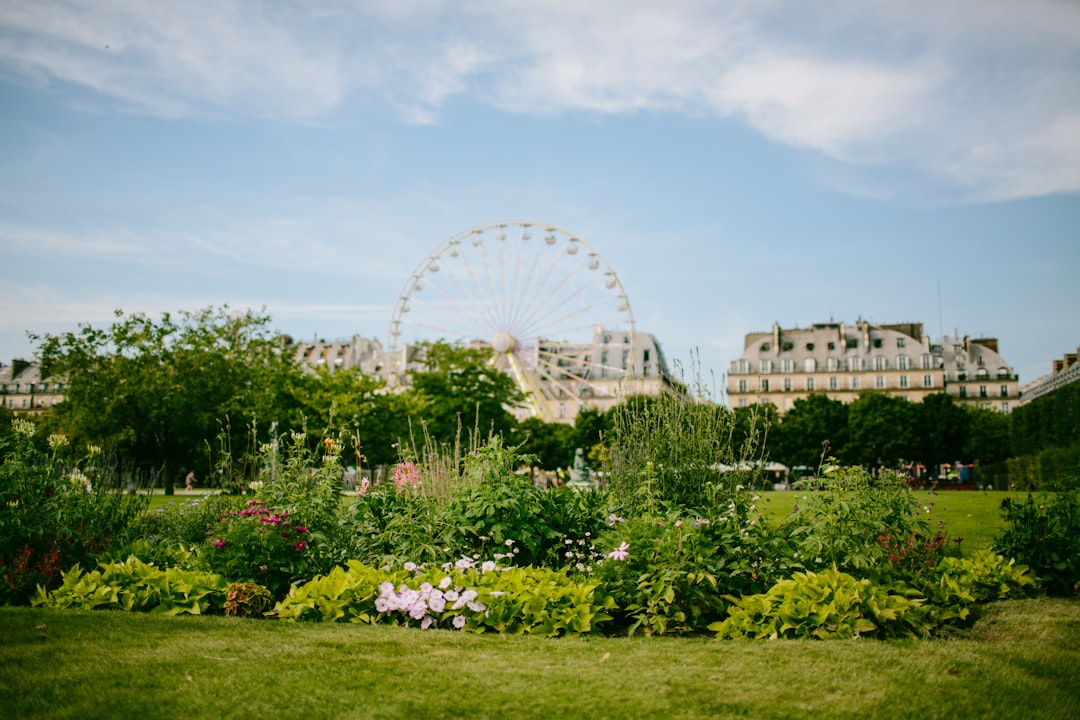 People enjoying a picnic in a Parisian park