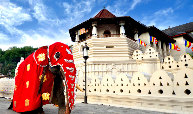 Best Things to Do and Places to Visit in Sri Lanka1