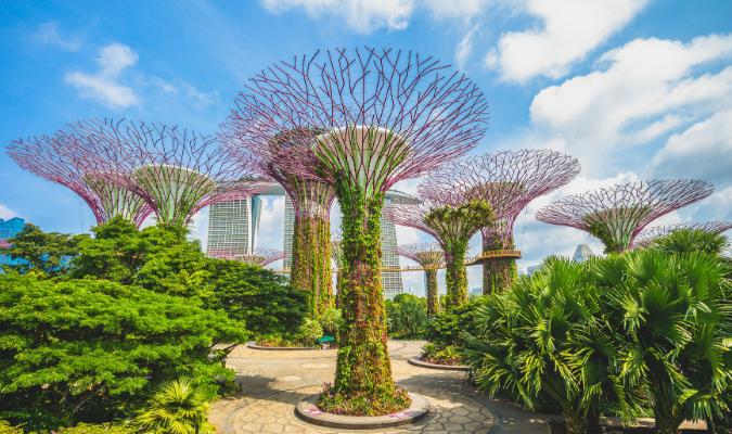 Singapur
