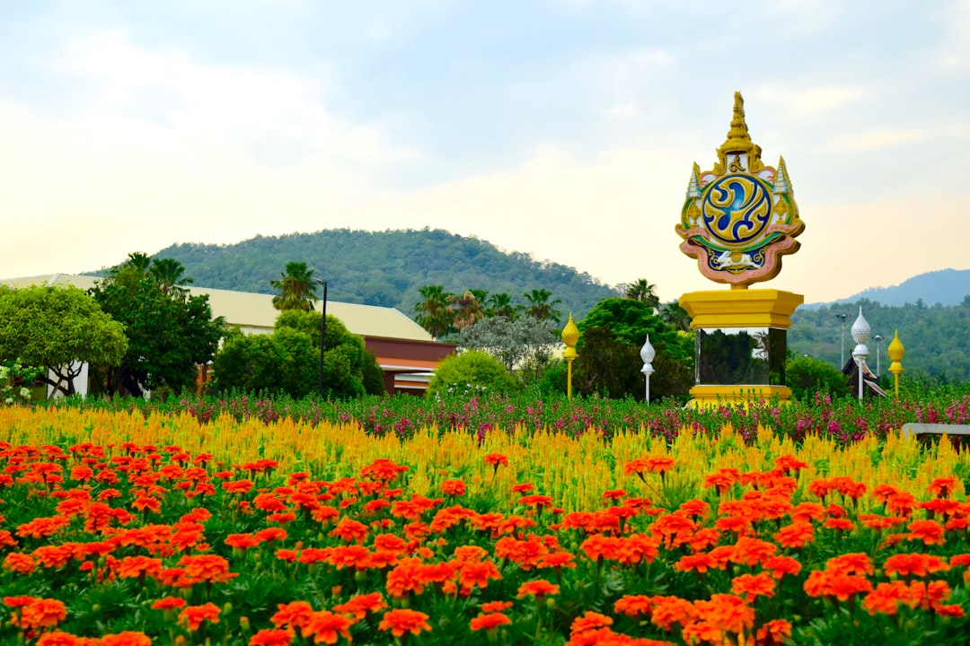Warum eine 2-Tages-Tour nach Chiang Rai von Chiang Mai aus ein unvergessliches Abenteuer ist
