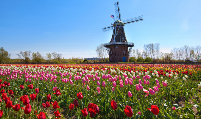 Die besten Unternehmungen und Sehenswürdigkeiten in Niederlande1