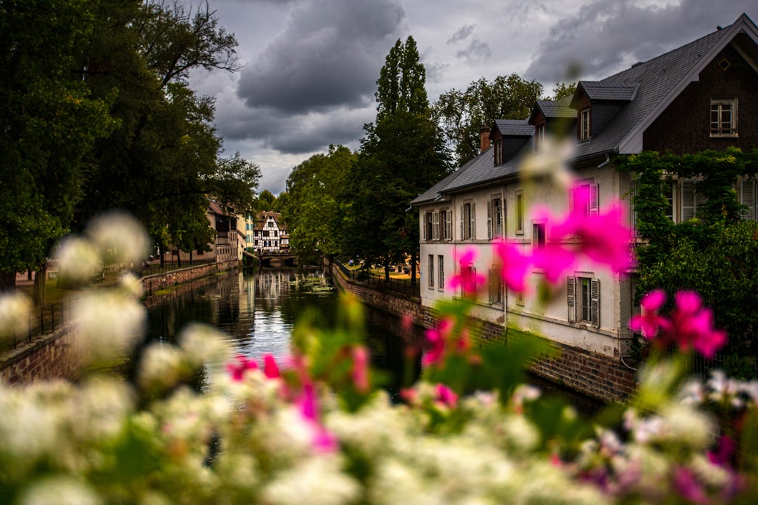 Strasbourg's Petite France district with canals and flowers in spring