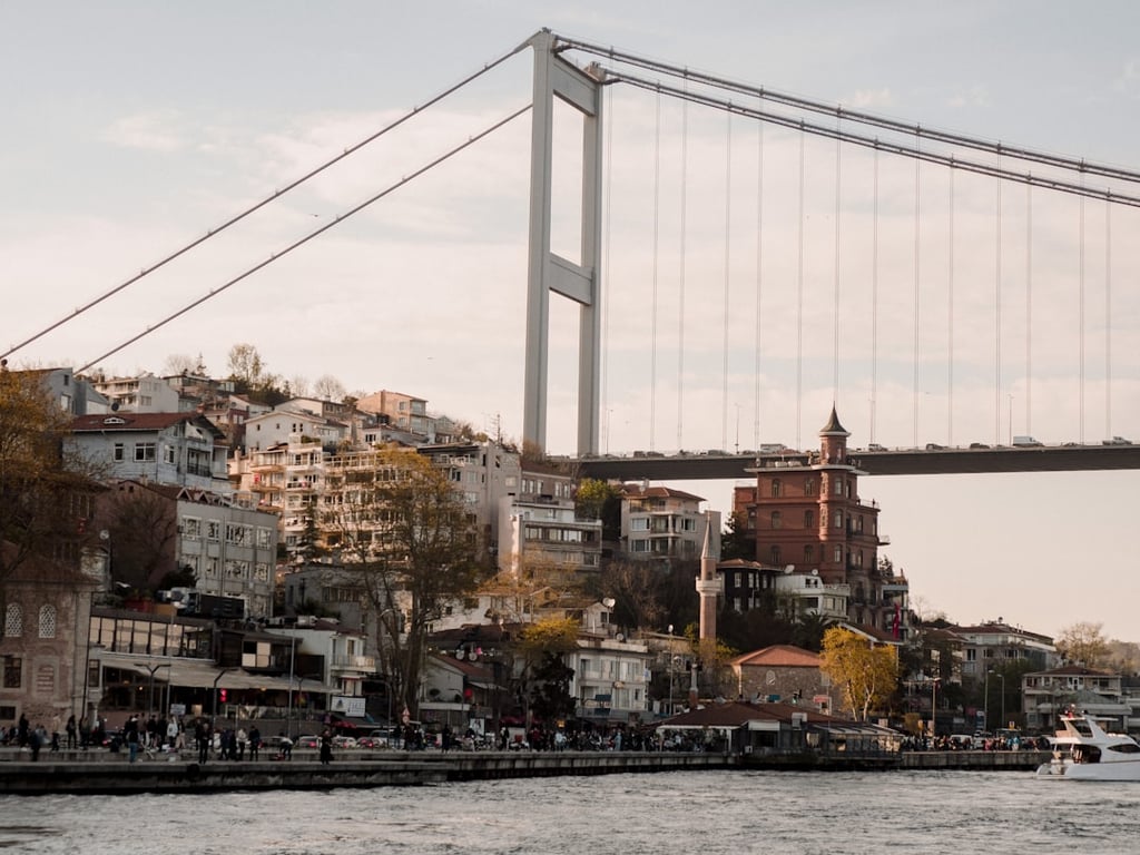 Istanbul cityscape with mosques at sunset