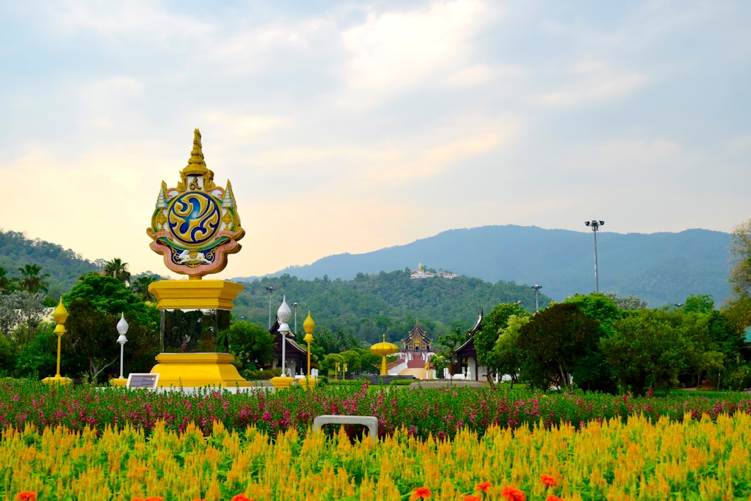 Üppige grüne Berge und Teeplantagen in Nordthailand