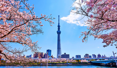 Tokyo image
