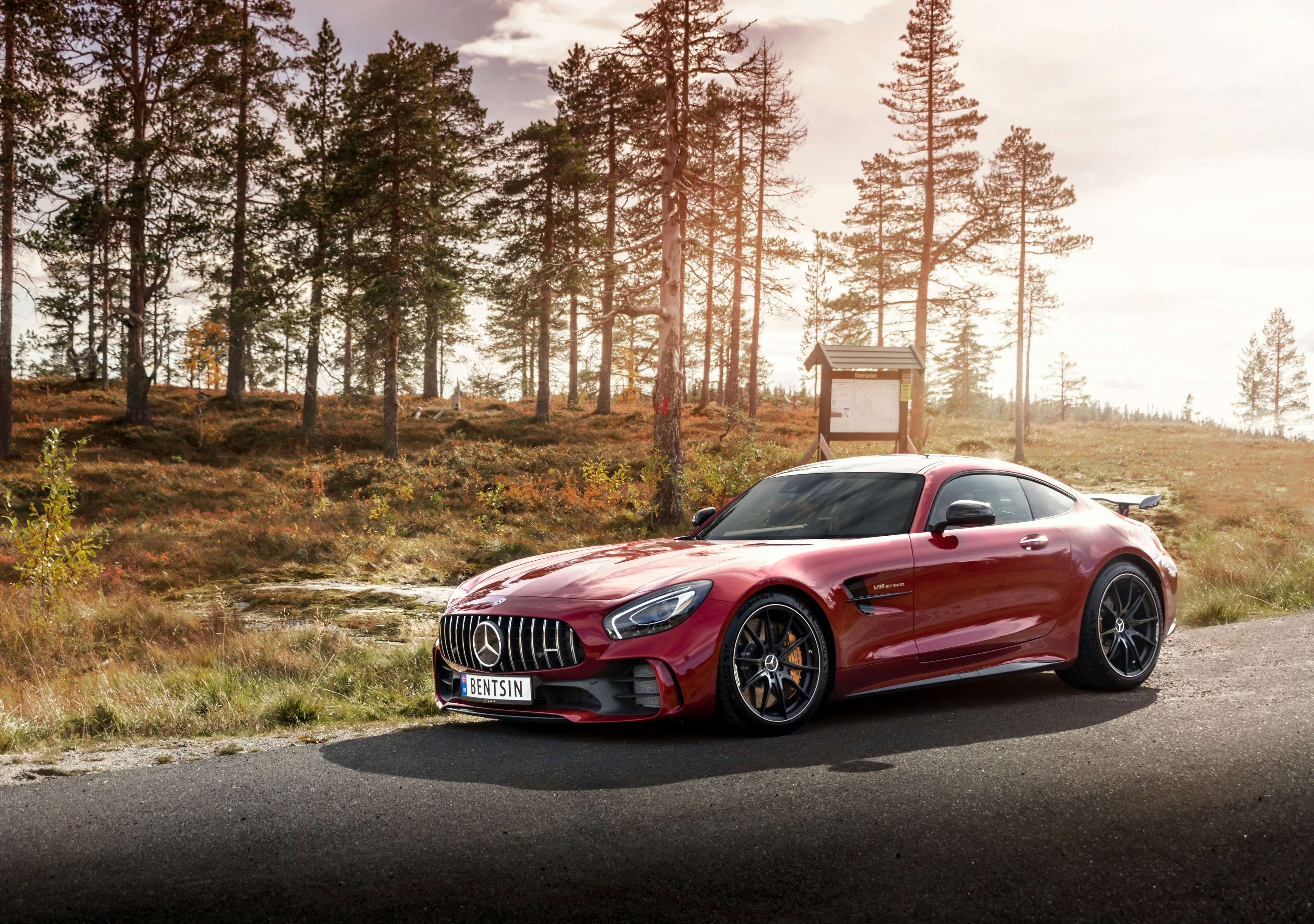 Dark red Mercedes-AMG GT coupe in golden-hour Scandinavian pine setting