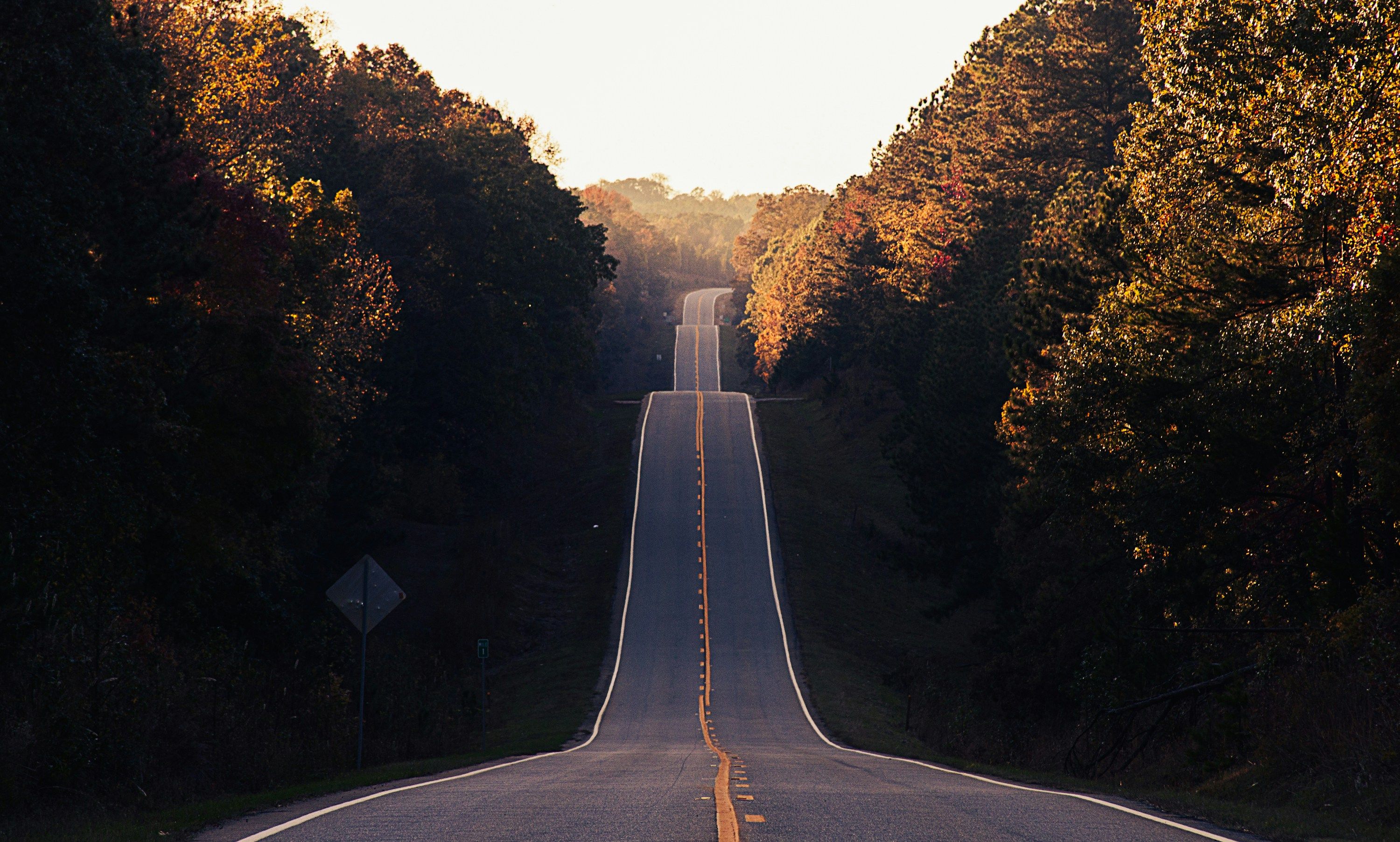 Rural two-lane road through autumn-coloured trees at sunset
