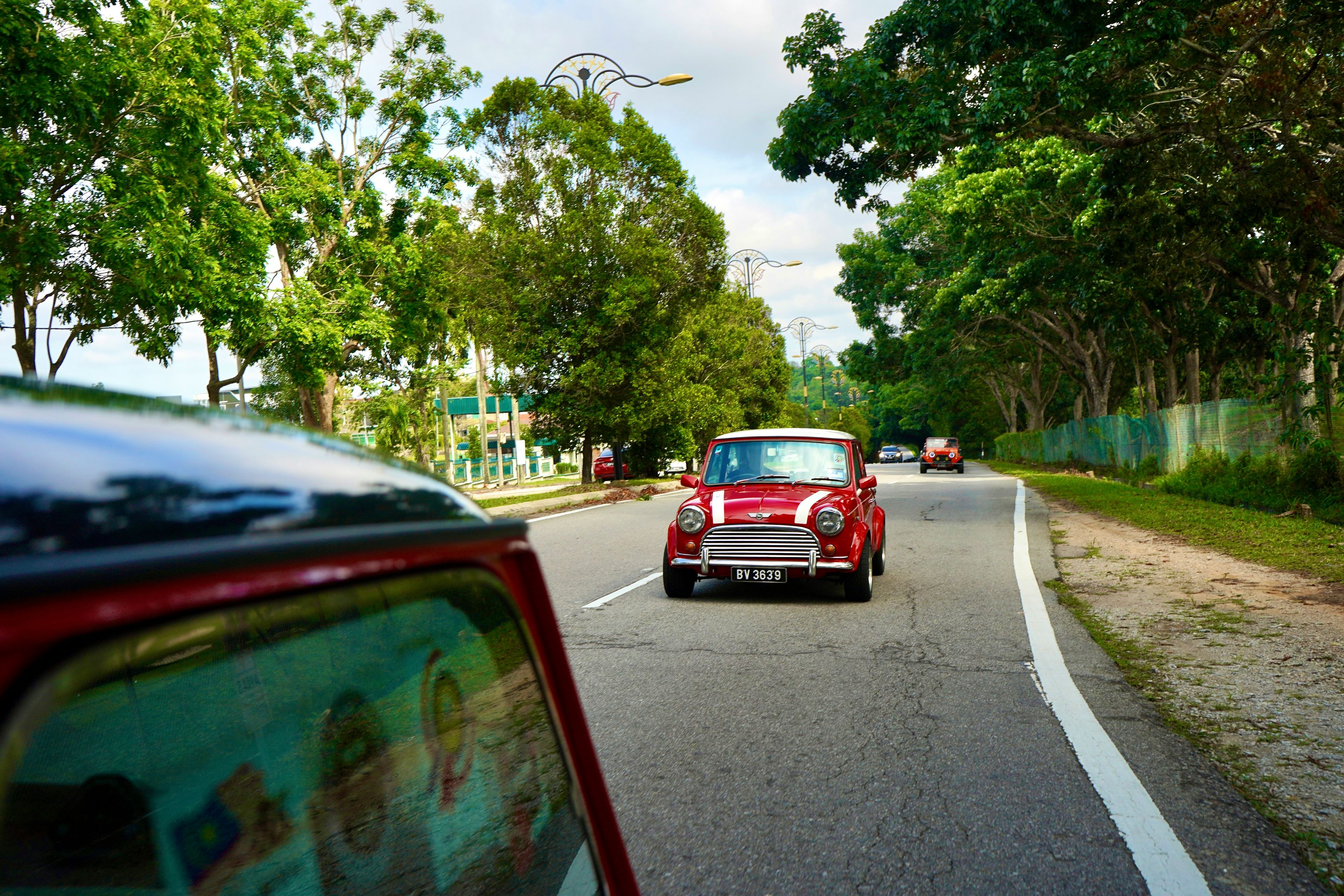 Classic red Mini Cooper driving on a tree-lined road