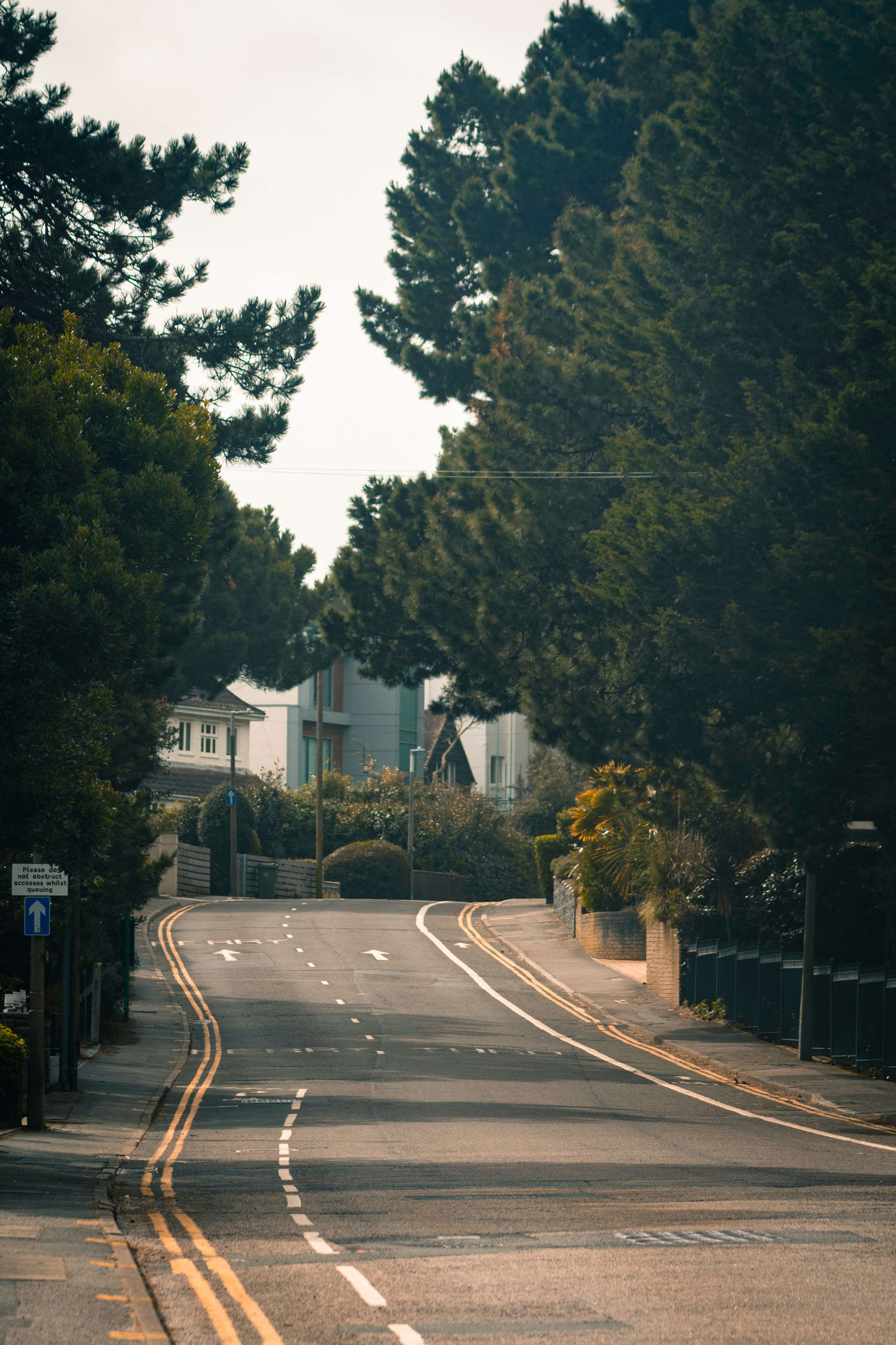 Quiet curving tree-lined UK suburban street in soft morning light
