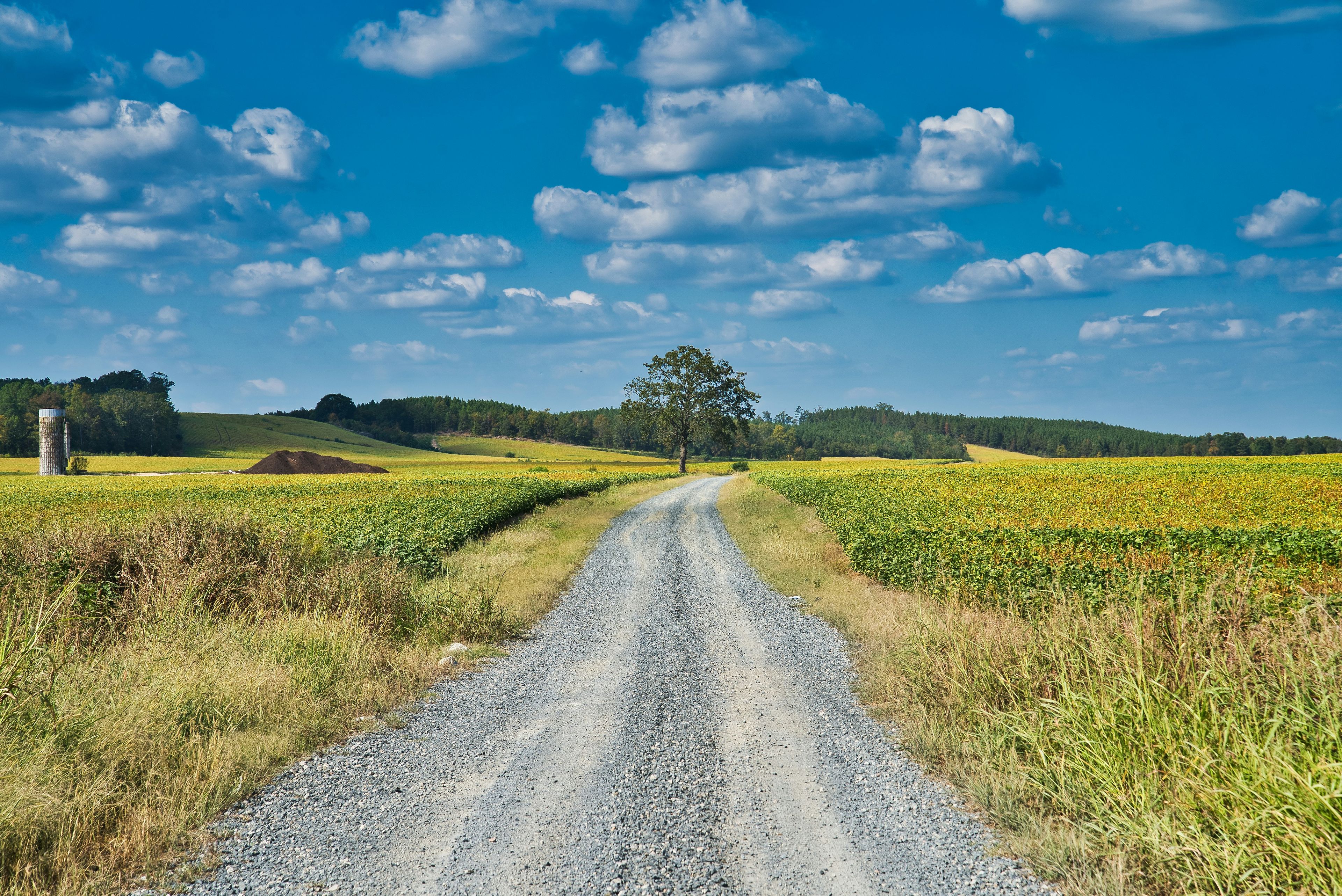 Gravel country road through farm fields under a blue sky