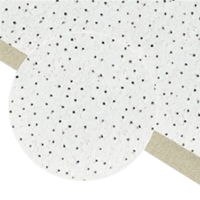 Forro Mineral Armstrong Scala Lay In