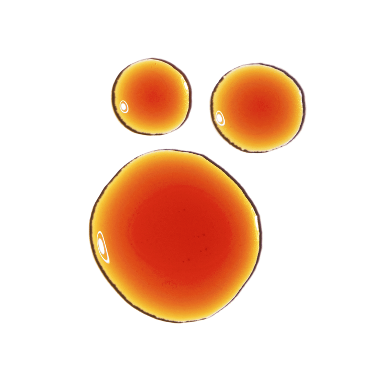 Pycnogenol 5% - Image 2