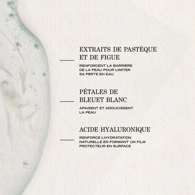 Infusion Hydratante Repulpante - Image 2