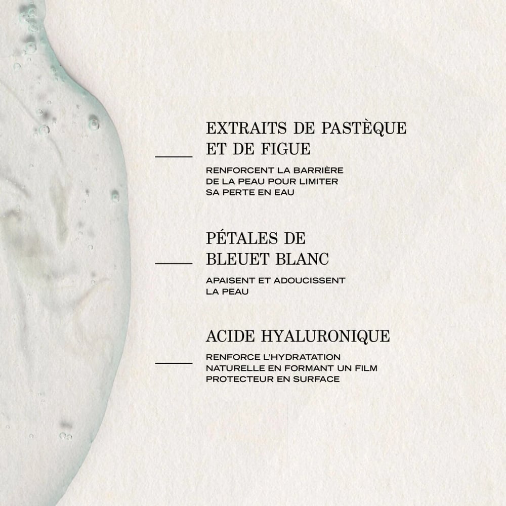 Infusion Hydratante Repulpante - Image 2