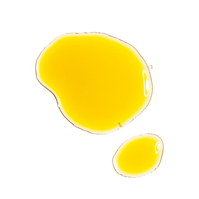 Resvératrol 3% + Acide Férulique 3% - Image 2