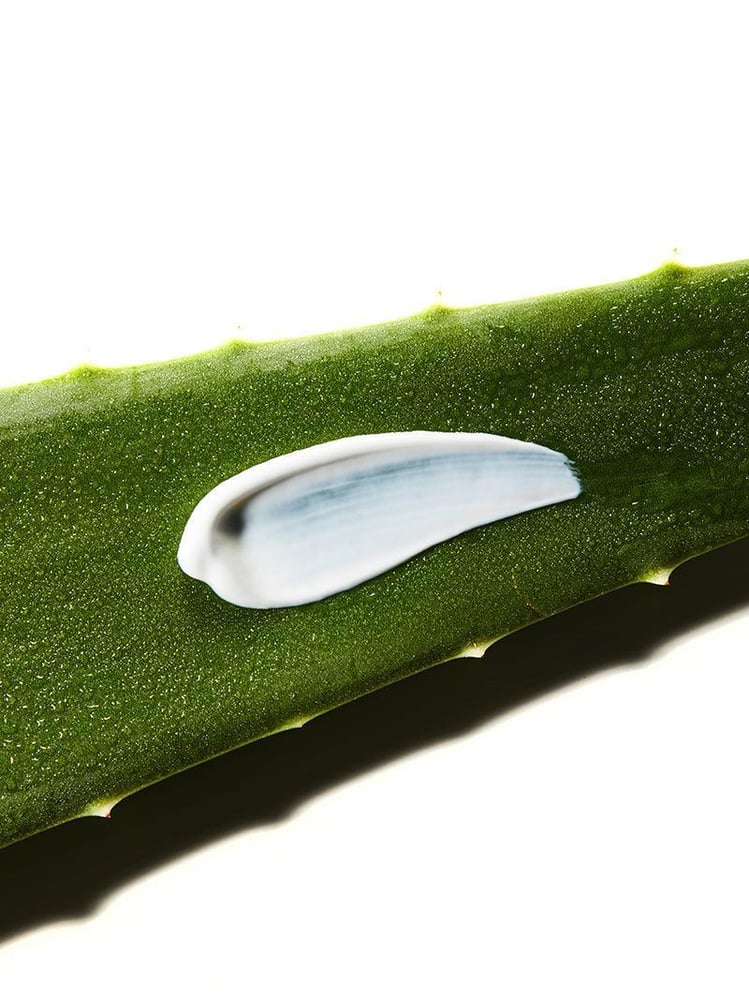 Aloe Soothing Sun Cream SPF50+/ PA+++ - Image 2
