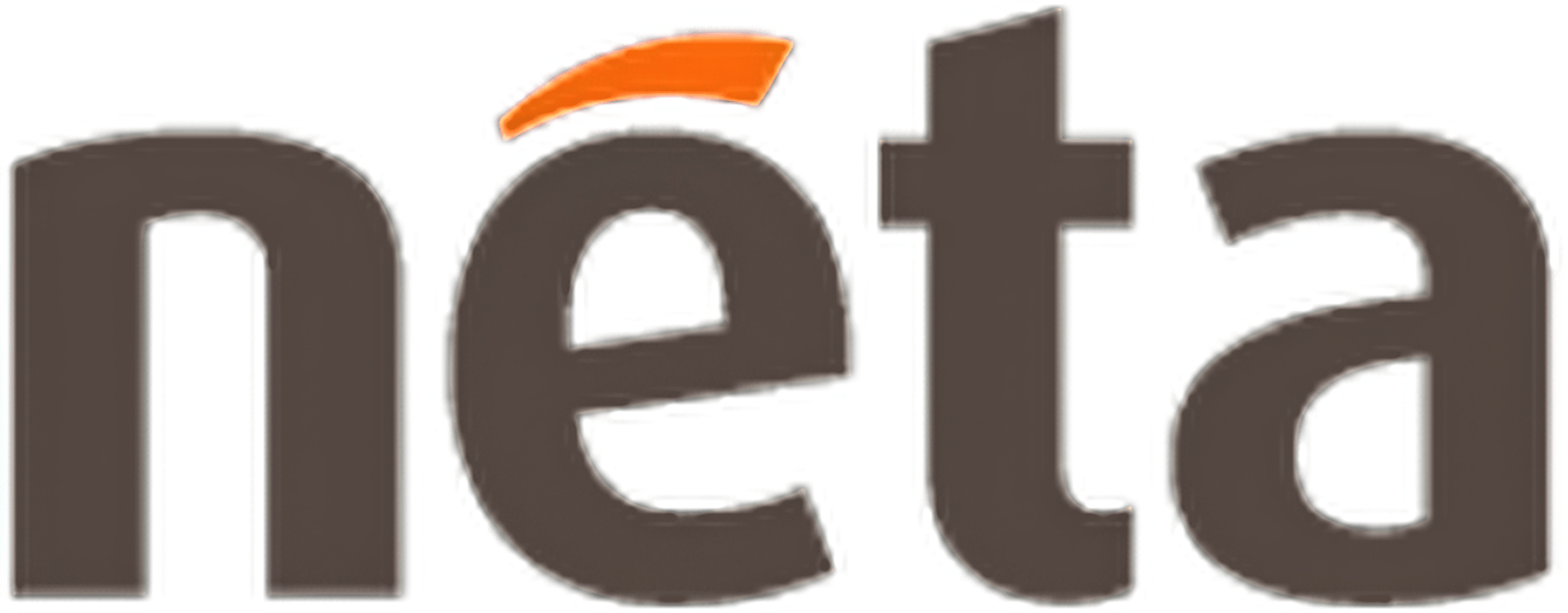 Neta logo