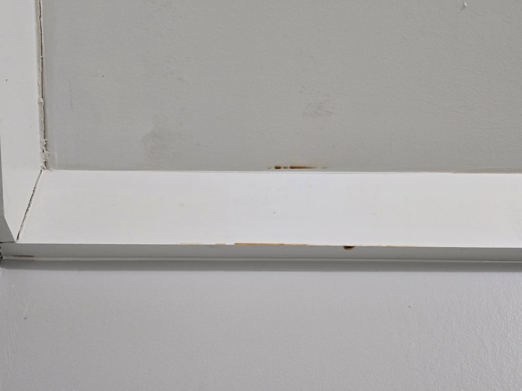 Image of red stains on a ceiling in Raleigh, NC from iron rich water.