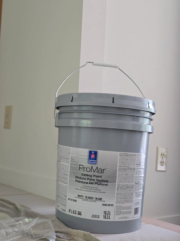Up close image of ProMar Ceiling Paint.