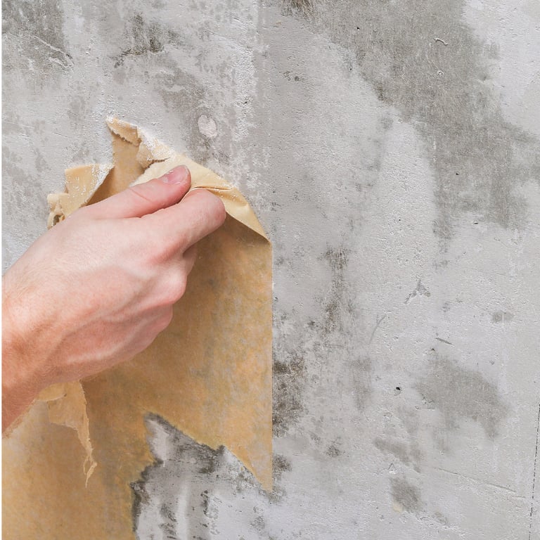 White-Kitchen-Cabinets