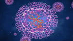 Monkeypox-Reported-In-Texas-4-1024×512