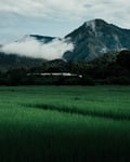 Hundreds of visitors ascend Chiang Mai's mountains to see the sunrise racim-amr-uHT0vh6nq9E-unsplash