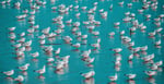 waranont-joe-tkJ06vkDkMI-unsplash