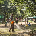 Thailand's Dengue Crisis Escalates: Cholnan Srikaew's Battle Against the Mosquito Menace image-253