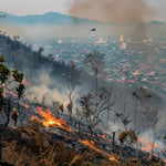 Rayong Wildfire Crisis: Exhaustive Battle Against Nature's Fury and Pollution image